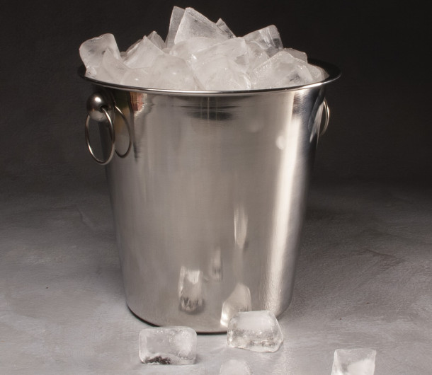 Champagne Ice Bucket (stainless steel) $20